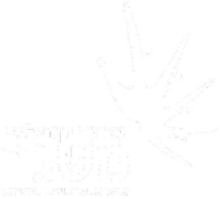 המרכז הקהילתי - מתנ"ס משגב