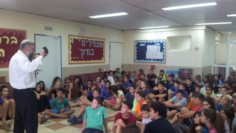 11 3.jpg