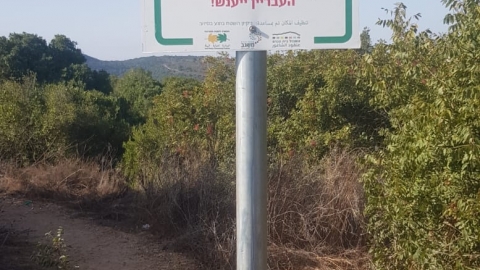 ניקיון ושמירת שטחים פתוחים