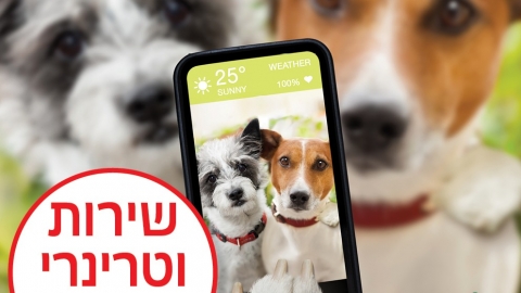 זימון תורים מקוון לחיסוני כלבת בישובים ובמועצה