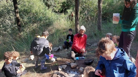 הדרכת גן יער