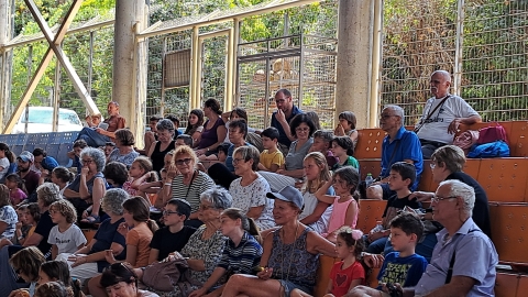 קייטנת סב/תא נכדים/ות - בועות סבון