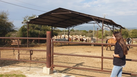 ביקור שנת שירות ומכינות