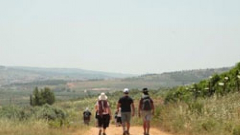 11 מזריחה לשקיעה.jpg
