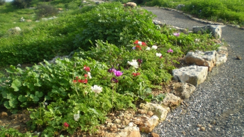 11 מצפה ארבל (5).jpg