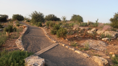 11 מצפה ארבל (6).jpg