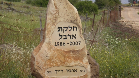 11 חלקת ארבל (3).jpg