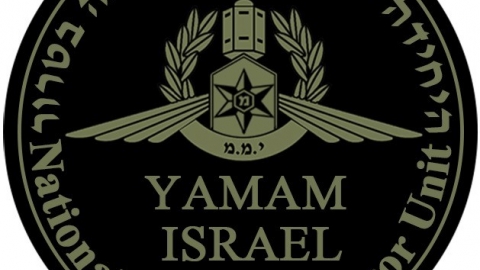 11 סמל היממ.jpg