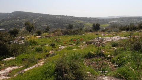 11 בוסתן נוף משותף - לזכרו של עמרי גולדין (4).jpg