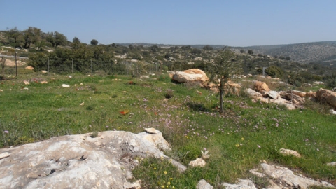 11 בוסתן נוף משותף - לזכרו של עמרי גולדין (2).jpg