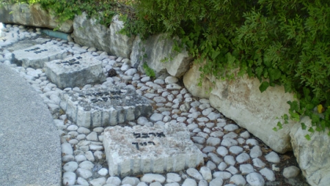 11 נחל דומם (2).jpg