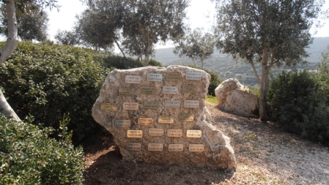 11 חורשת הנופלים (3).jpg