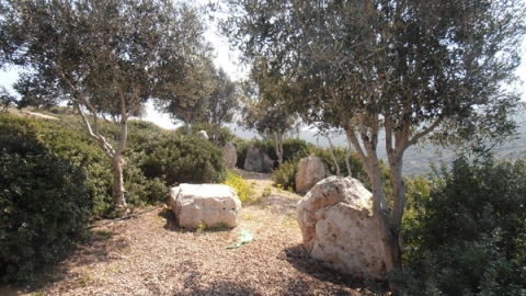 11 חורשת הנופלים (1).jpg